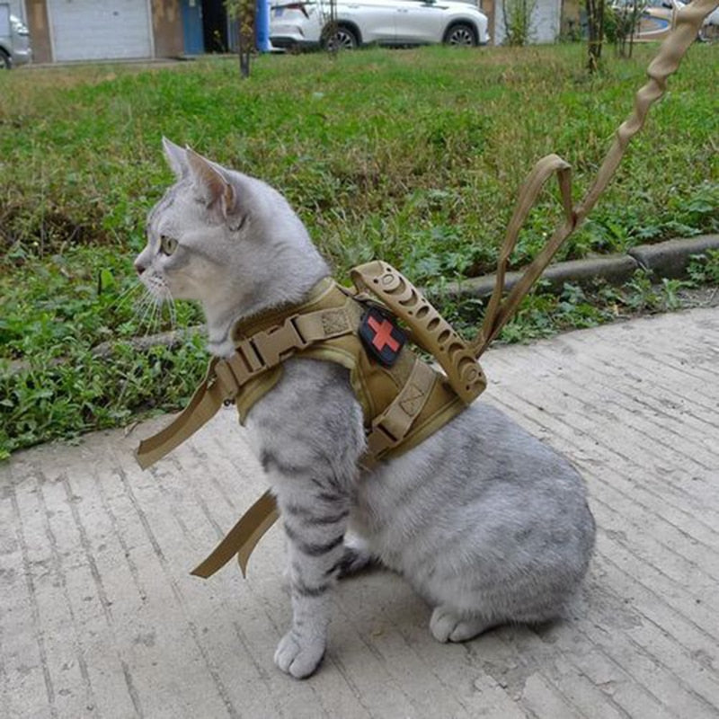 Tactical Escape Proof Cat Vest Pet Cat Harness Belt