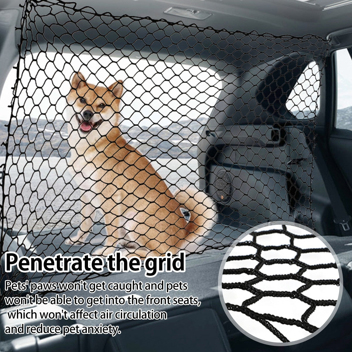 Introducing the Car Dog Barrier Net